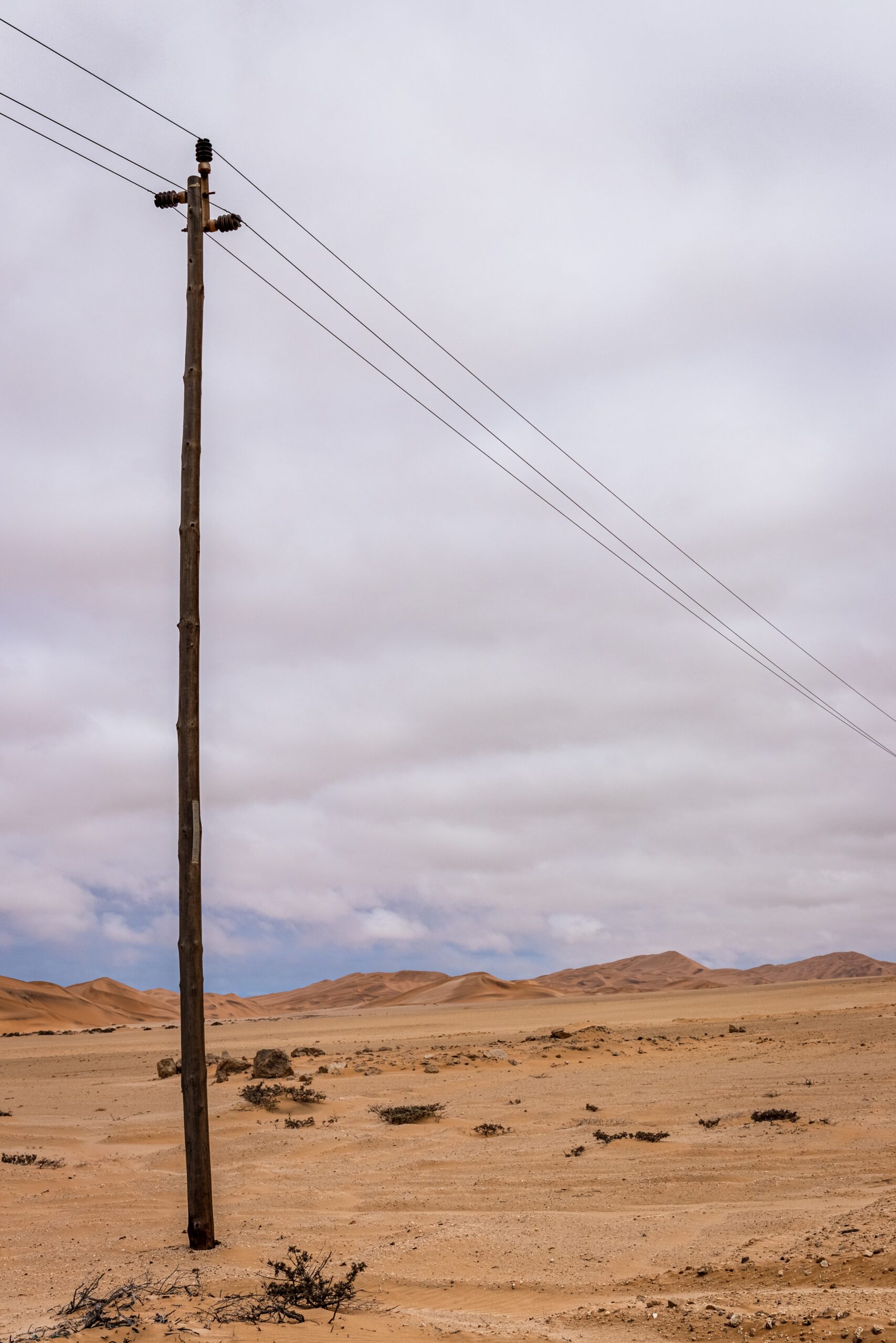 家の敷地内にある電柱があったら？