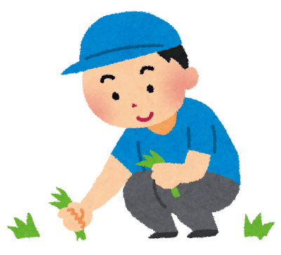 草むしりと除草剤はセットプランで実践しよう！